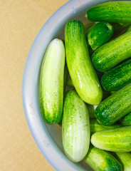 The green cucumbers in water