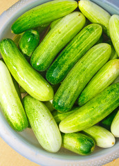 The green cucumbers in water