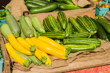 Squash on display at a local farmers market