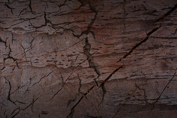 Old wood background