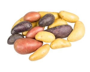 Fingerling potatoes of several colors isolated © zigzagmtart