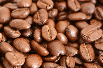 Fototapeta premium coffee beans