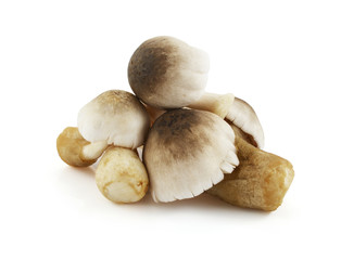 Heap of  mushrooms. Isolated on white background