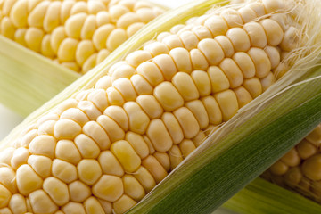 とうもろこし