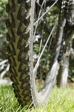 Rear bicycle wheel