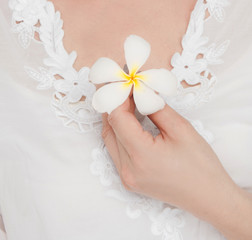 Sexy woman hands holding frangipani