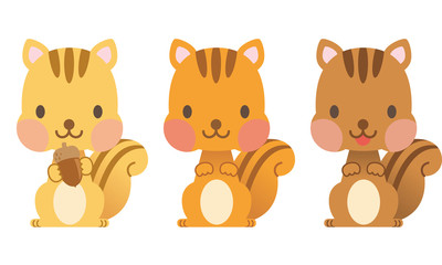 動物　リス　セット