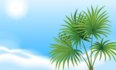 Fototapeta na wymiar A palm plant and a clear blue sky