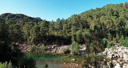 Fototapeta na wymiar Solenzara rivière de Corse