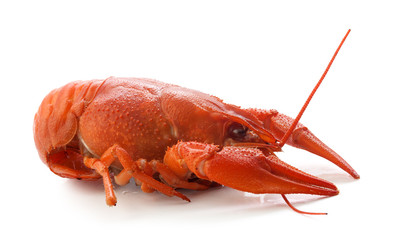 Boiled crawfish