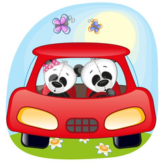 Two Pandas in a car