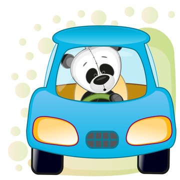 Panda In A Car