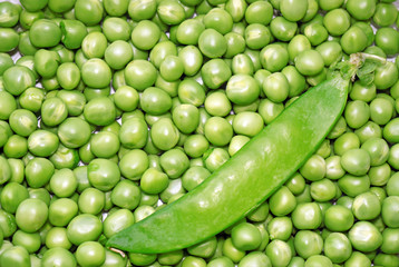 Pea green peas close-up as a background