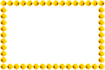 yellow capsicum frame