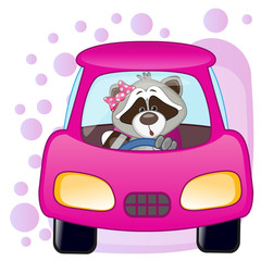 Raccoon girl in a car