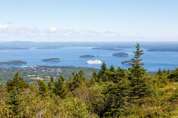 Fototapeta premium Cruise Ship Beyond Evergreens
