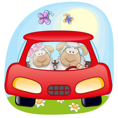 Two Sheep in a car