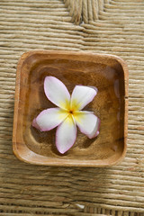 White frangipani flower in wooden bowl on mat