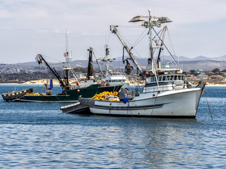 Fishing vessels in Monterey harbor, California