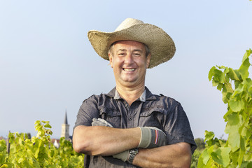 in the Vineyard