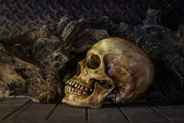 Still Life with a Skull.