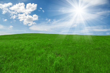 Fototapeta na wymiar Green field and blue cloudy sky with sun