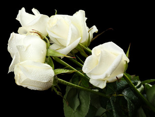 Obraz premium Bouquet of beautiful roses on black background