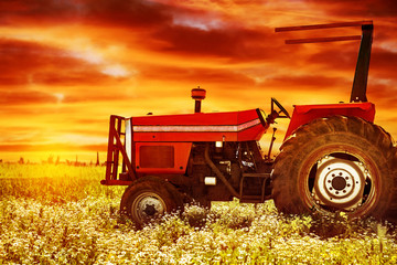 Big tractor on sunset