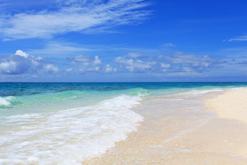 Fototapeta na wymiar 綺麗な砂浜に打ち寄せる白い波