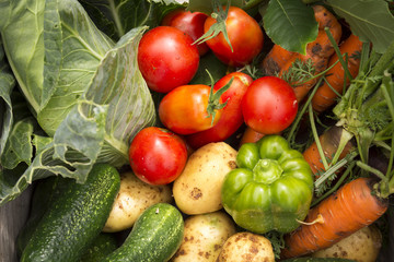 Ripe vegetable produce variety 