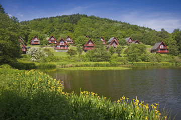 Barend Holiday Village, Loch and Lodges. Irises Foreground