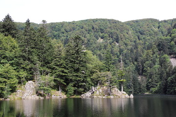 Fototapeta na wymiar Lac d'Altenweiher dans les Vosges