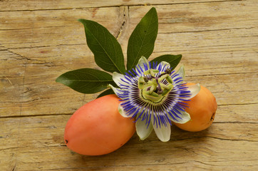 Passiflora caerulea Passion flowers Passionsblumen Страстоцвет