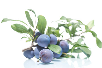 ripe juicy plums