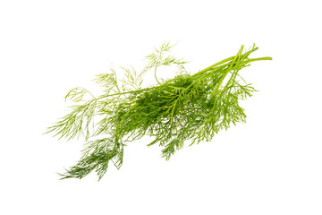 Dill branch