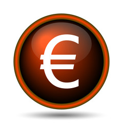 Euro icon