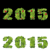 New Year 2015 is lined with green leaves.  Isolated