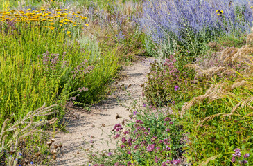 Pretty path in the beautiful summer .garden
