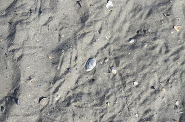 Sand beach background