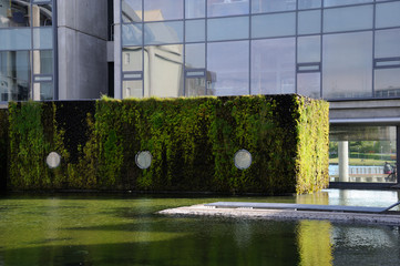 mur v&eacute;g&eacute;tal