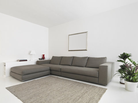 interior view of living room with fabric sofa and carpet