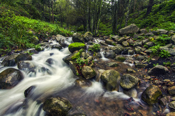 river stream on the beautiful Monchique