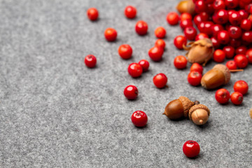 red rowan and nuts on grey autumn background