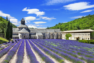 Abbaye de Senanque with  lavender field, Provence, France