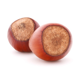 hazelnut or filbert nut isolated on white background cutout