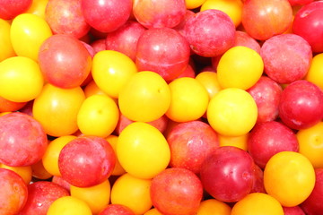 Red and yellow mirabelle as background