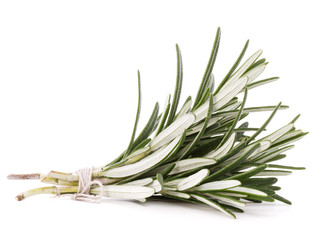 rosemary herb spice leaves isolated on white background cutout