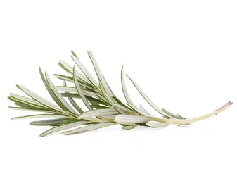 Stickers pour porte Aromatique rosemary herb spice leaves isolated on white background cutout