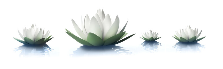 Panele Szklane Podświetlane  Kwiaty lotosu 2