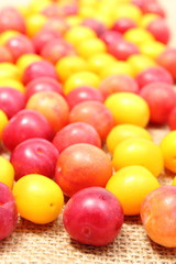 Red and yellow mirabelle on jute canvas